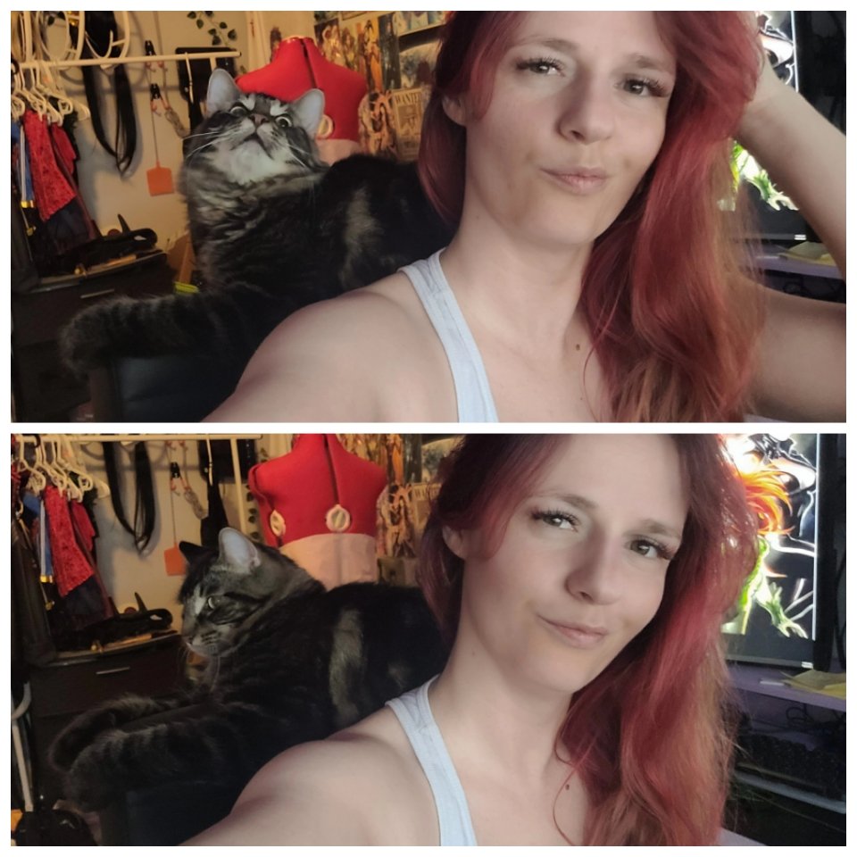 PhoenixRisingxo's tweet photo. When working away, ensure you have the proper headrest 😹
#catlife #catsofinstagram #redheadproblems #inkedupgodess #nomakeupselfie #cosplaygirl #gamergirl https://t.co/tXAPVTB6fJ