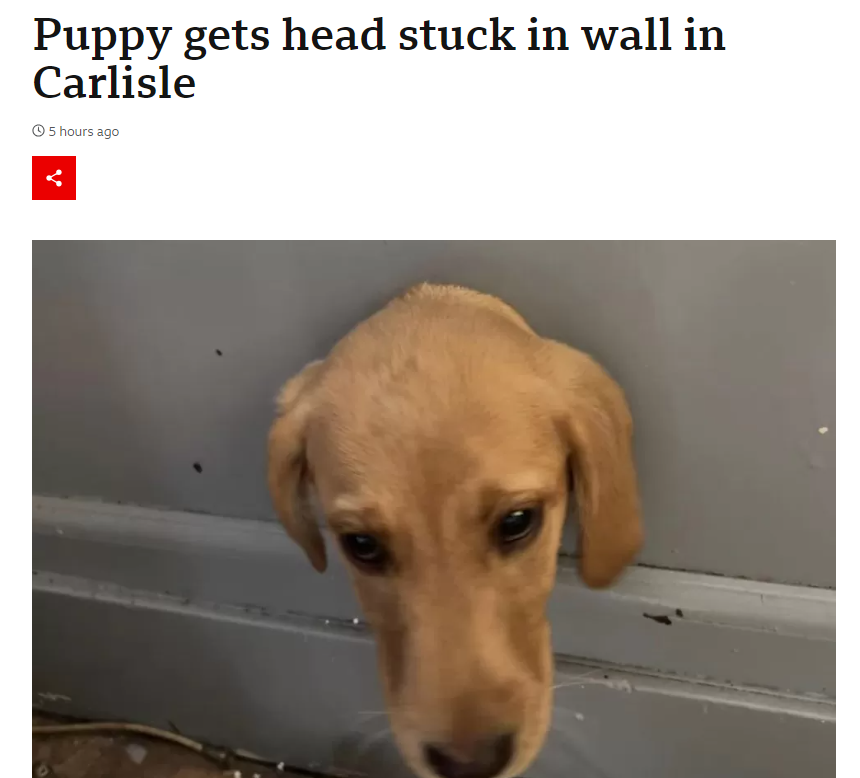 Me: "It's a really busy news agenda at the moment, hard to get cut through"

Meanwhile: