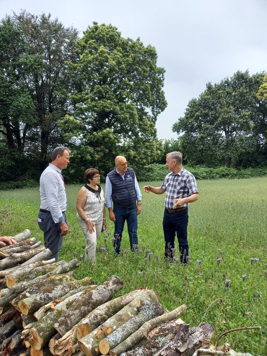 Alli'Homme tweet media