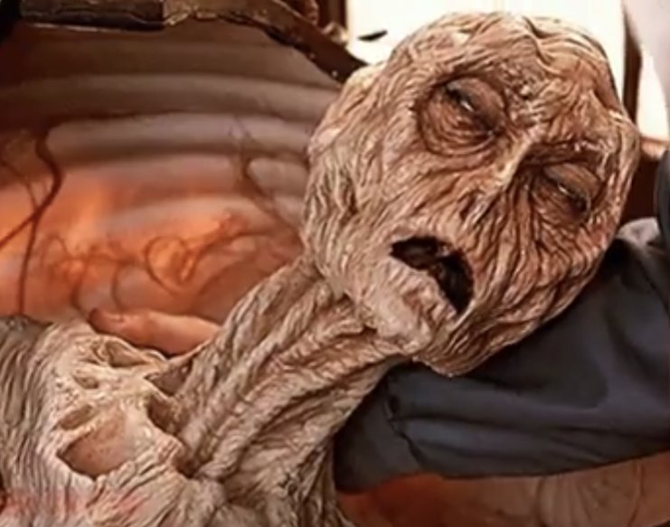 When a drop of <a href="/YorkshireTea/">Yorkshire Tea</a> hasn't passed my lips in last 5 minutes.....