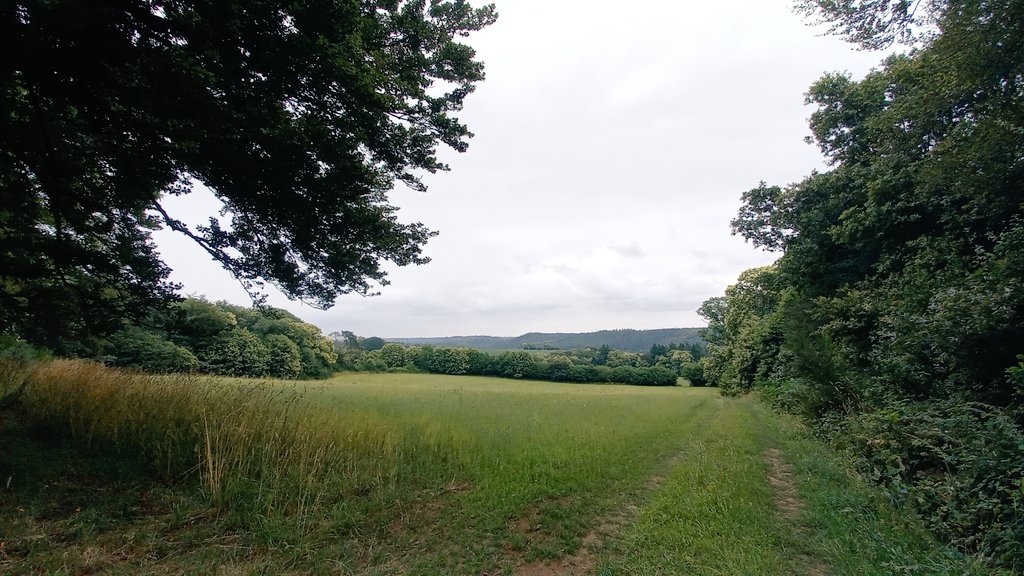 Alli'Homme tweet media