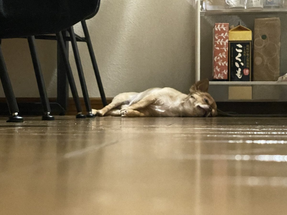 宇宙人みたい https://t.co/tWwUkEXast