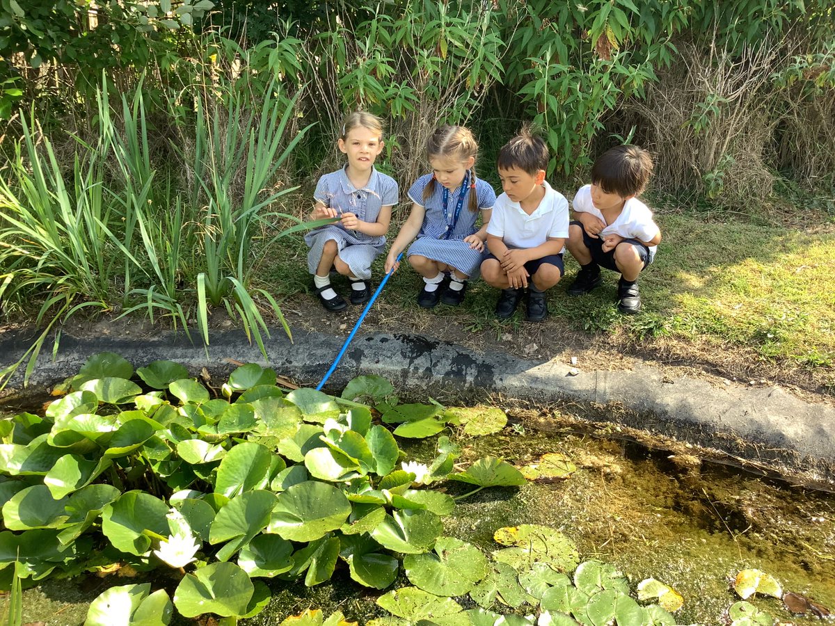 AvonwoodEYFS's tweet photo. Foundation have been busy learning about environmental science and ways in which we can reduce plastic. We took a trip over to our pond to see what wildlife we have here at Avonwood. Check out our Earth Charter posters we have made too! 🌍 https://t.co/Z50BaD1ej8