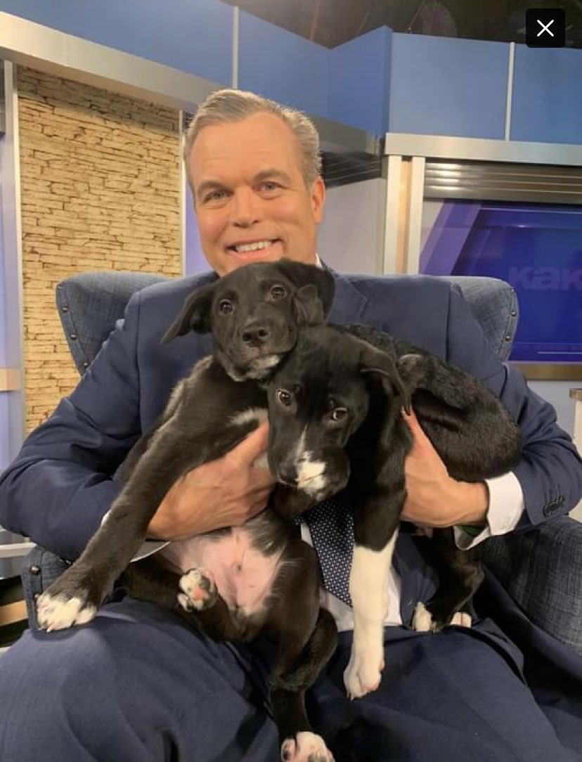 For this week’s WAAL Wednesday, a sweet little guy named Hayes.  He (on the left) and his brother were our Pets of the Week back on March 7.  And, unbelievably, Hayes is still waiting for his furever home.  If that’s you, contact the folks at the Wichita Animal Action League.