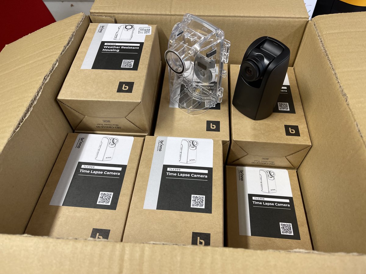 Rob Salguero-Gómez tweet media