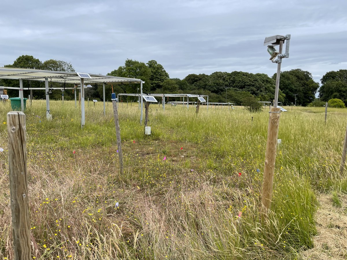 Rob Salguero-Gómez (@rob_salgo) on Twitter photo Thx to this support, we will expand our AI-species identification pipelines (in collabo with <a href="/stan_harpole/">Stan Harpole</a> <a href="/idiv/">iDiv Biodiversity Research</a>) from our <a href="/DragnetGlobal/">DragNet Global</a> plots to some of the <a href="/DroughtNet/">DroughtNet</a> plots <a href="/WythamWoods/">Wytham Woods</a> - with <a href="/Erola_Fenollosa/">Erola Fenollosa</a> & Andy Hector <a href="/OxfordBiology/">Oxford Biology</a> Thx to this support, we will expand our AI-species identification pipelines (in collabo with <a href="/stan_harpole/">Stan Harpole</a> <a href="/idiv/">iDiv Biodiversity Research</a>) from our <a href="/DragnetGlobal/">DragNet Global</a> plots to some of the <a href="/DroughtNet/">DroughtNet</a> plots <a href="/WythamWoods/">Wytham Woods</a> - with <a href="/Erola_Fenollosa/">Erola Fenollosa</a> & Andy Hector <a href="/OxfordBiology/">Oxford Biology</a>