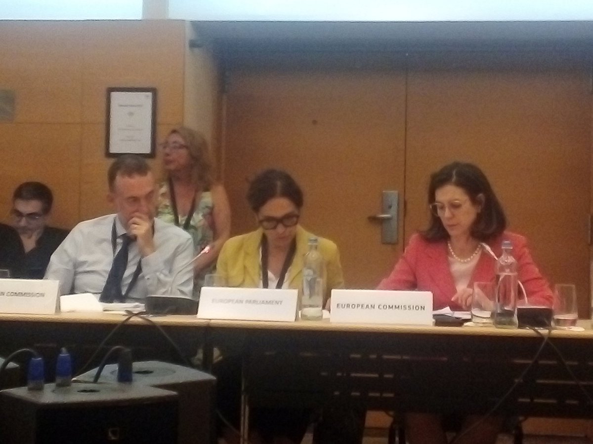 LauraRoyer19's tweet photo. Really great to wrap up this day of #MultilateralDialogue discussions with @linagalvezmunoz +50 countries and stakeholders came together today to discuss how we can develop key principles to foster international cooperation in science ๐๐๐ @MariaCrisRusso #EUGlobalApproach https://t.co/SfIcBDBUsq