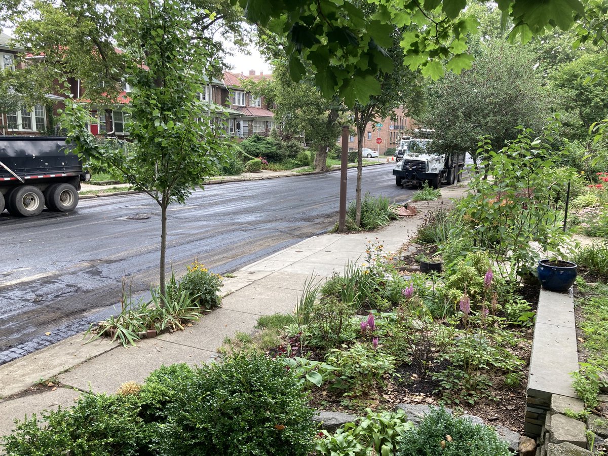 Think of these as BEFORE pictures.