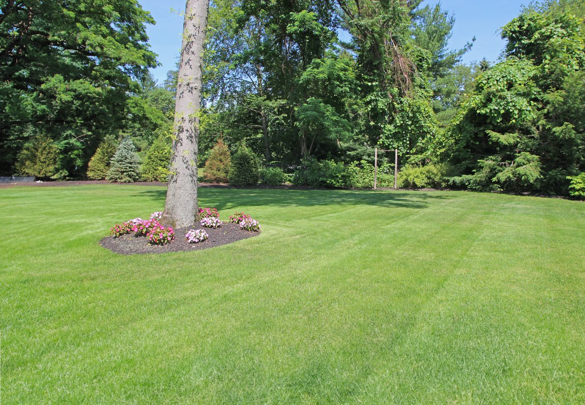 borstlandscape's tweet photo. Healthier soil. Stronger roots. A sustainable approach that proves long-lasting benefits. Connect with our team about our #LawnCare program today! 🌱➡️ https://t.co/EnG8JXz35c #BorstOrganic #BorstLandscape #LawnMaintenance https://t.co/BfZtER95eG