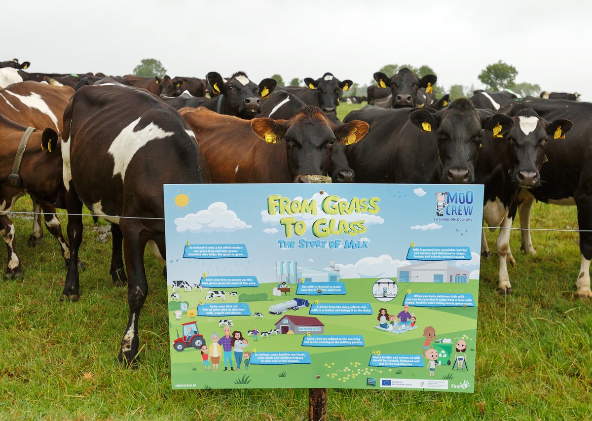 NDC_ie's tweet photo. #IrishDairy Farmer @MoloneyKevin teaching students from Knockanore National School in 📍 Co. Waterford about dairy farming in Ireland &amp; the role of #biodiversity for long-term sustainability. Dairy Farmers like Kevin are #CommittedFromTheGroundUp! 🐄
#GrassRootsMovement @tirlan_ https://t.co/d2e1umuH3b