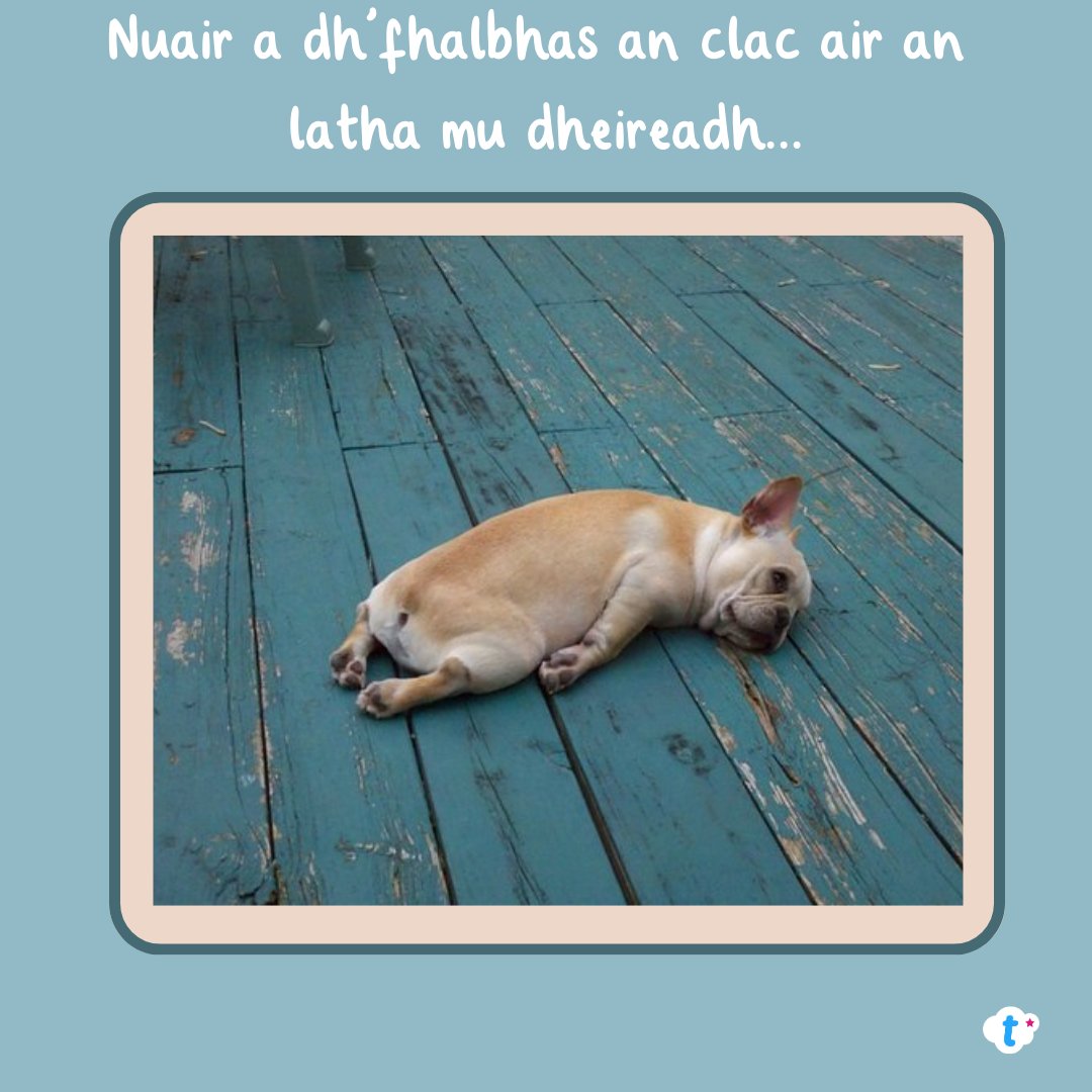 TwinklAlba's tweet photo. Nuair a thig na saor-làithean...
#deireadhteirm #saorsa #sgìth #gàidhlig #gaelic https://t.co/g71ykaLD7x
