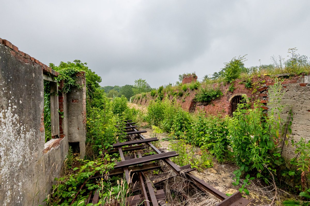 GR_Landschap's tweet image. Herinrichting van het terrein van Steenfabriek Rusthoven in Wirdum officieel afgerond! 🎉
Vanmiddag is gevierd dat het terrein succesvol is opgeruimd, gesaneerd en voorzien van een mooie wandelroute.
Hier lees je het gehele verhaal: groningerlandschap.nl/nieuws/steenfa…