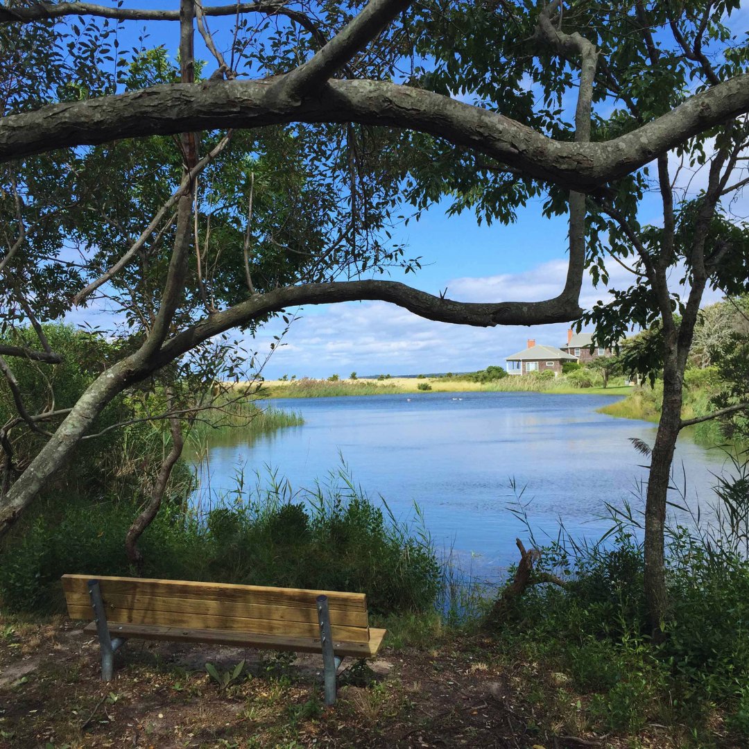 Thank you to the Lion Head Beach Association for inviting Edwina to speak at your monthly meeting. What a great evening of discussion! We greatly appreciated the opportunity! #lionheadbeach #community #gardeningbasis #community 📸: Lion Head Beach Association