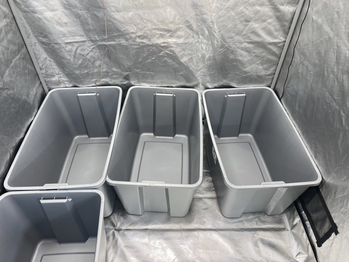 Big things are happening here today. Starting no-dig beds inside. The thrip problem pushed me into this direction earlier than I wanted but here we are. 30 gallon containers with living soil which is my own compost. It’s going to take some time to fill these, but no more lugging…