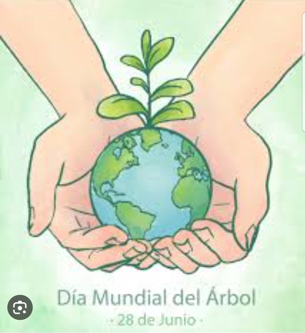 Son considerados los pulmones del planeta. Los árboles y bosques purifican el aire y contribuyen a regular el clima. Su importancia e impacto sobre el medio ambiente son de un valor incalculable. Es por ello se celebra el Día Mundial del Árbol el 28 de junio. #AgriculturaCubana