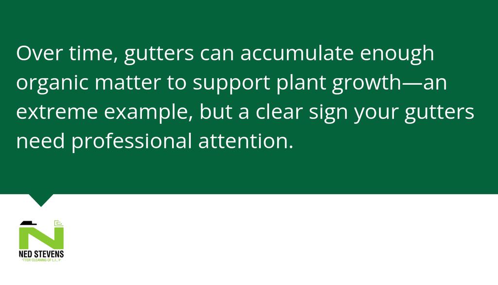 NSGCLI's tweet photo. If you notice visible debris or plants sticking out of your gutters, this is an obvious sign they need cleaning.

Read the full article: The Top Signs Your Gutters Need Professional Cleaning
▸ https://t.co/LpdO5x5yGb https://t.co/GEFExgdstG
