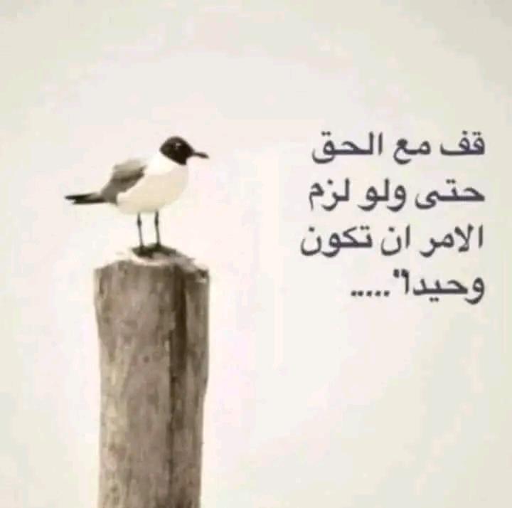 سلام مــن صـمـام قـلـبـي والوريد
مخصوص يُـهـدى للاصدقاء الوافيه

والتهنيه توصـل  مــع  العيد السعيد
تحمل  مـشـاعـرهـا  حروف القافـيـه

لكل  متابع   يوصلة  هذا  القصيد 
تحمل سلام العيد لن العيد عيدالعافيه

ياكل  شامخ  كل  نشمي  كل  جيد
ياهل  القلوب  الصادقه  والوااافيه