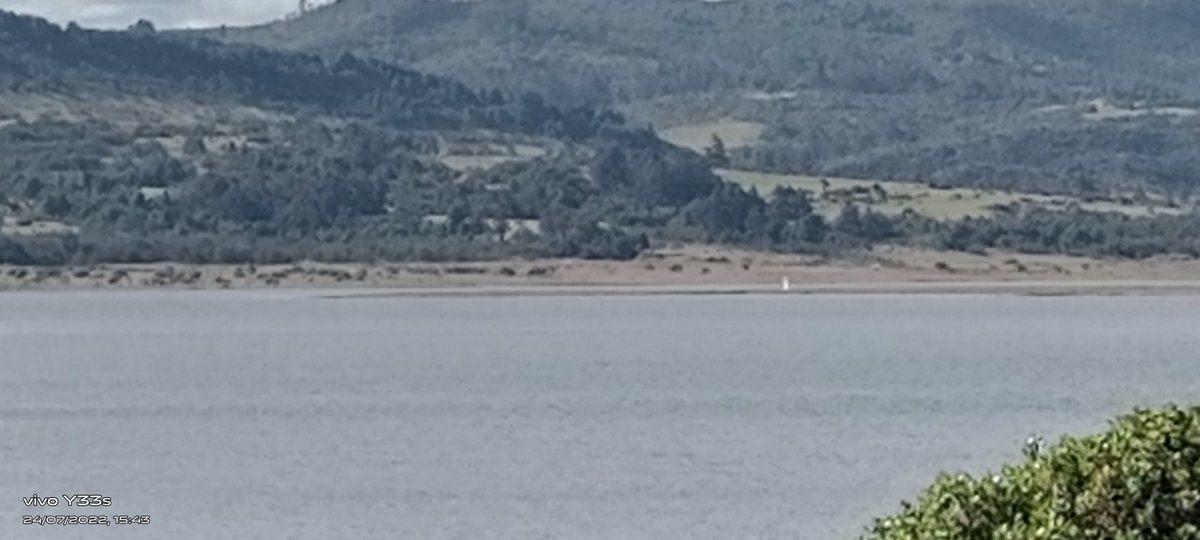 JRodrigud's tweet image. 