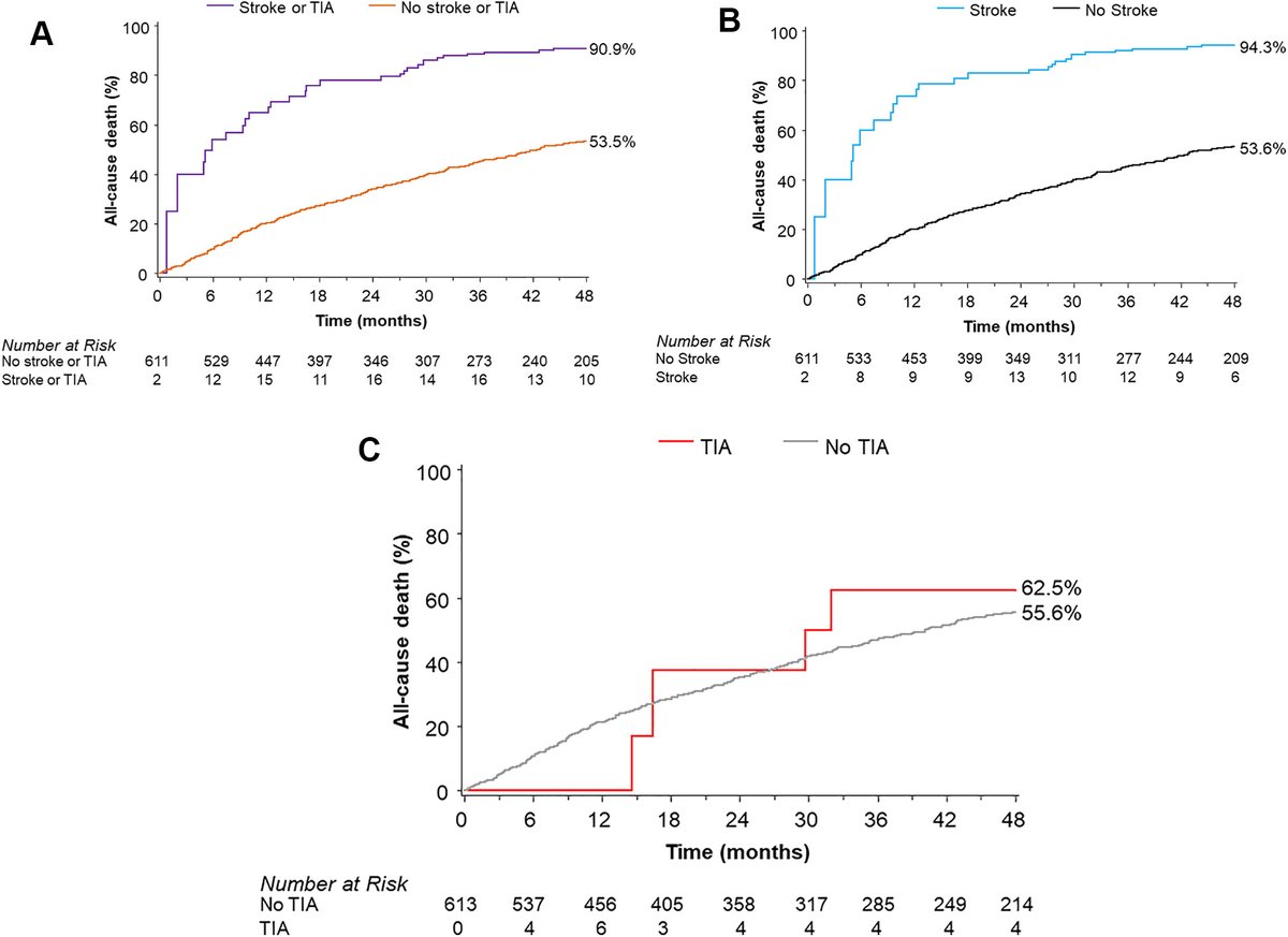 JACCJournals's tweet photo. Latest #JACCINT study unveils insights from the #COAPT trial on #CVA after #TEER and #GDMT. 4-yr rate of CVA was similar between TEER vs GDMT alone. However, CVA was found to be strongly associated with mortality. https://t.co/TGURgigVe9

#MitraClip #CardioTwitter https://t.co/GEyg1CHKrh