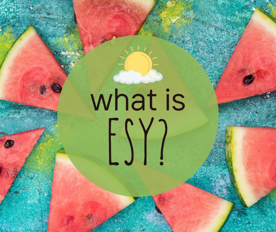 ESY stands for Extended School Year.

The purpose of ESY is to help students maintain the progress they made during the school year in order to continue to make progress in the upcoming year. At ASUA, we also add "Have Fun" to our goal! 🤩