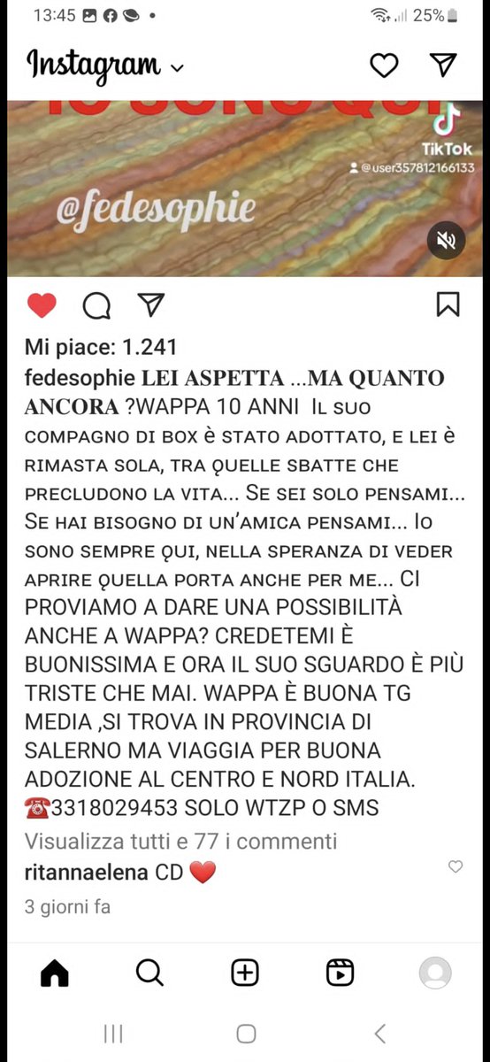 Emilystellaemi2's tweet photo. RT RT RT RT RT RT RT ♥️♥️🙏♥️🙏♥️🙏♥️♥️🙏♥️🙏 https://t.co/eOLFGbFFyi