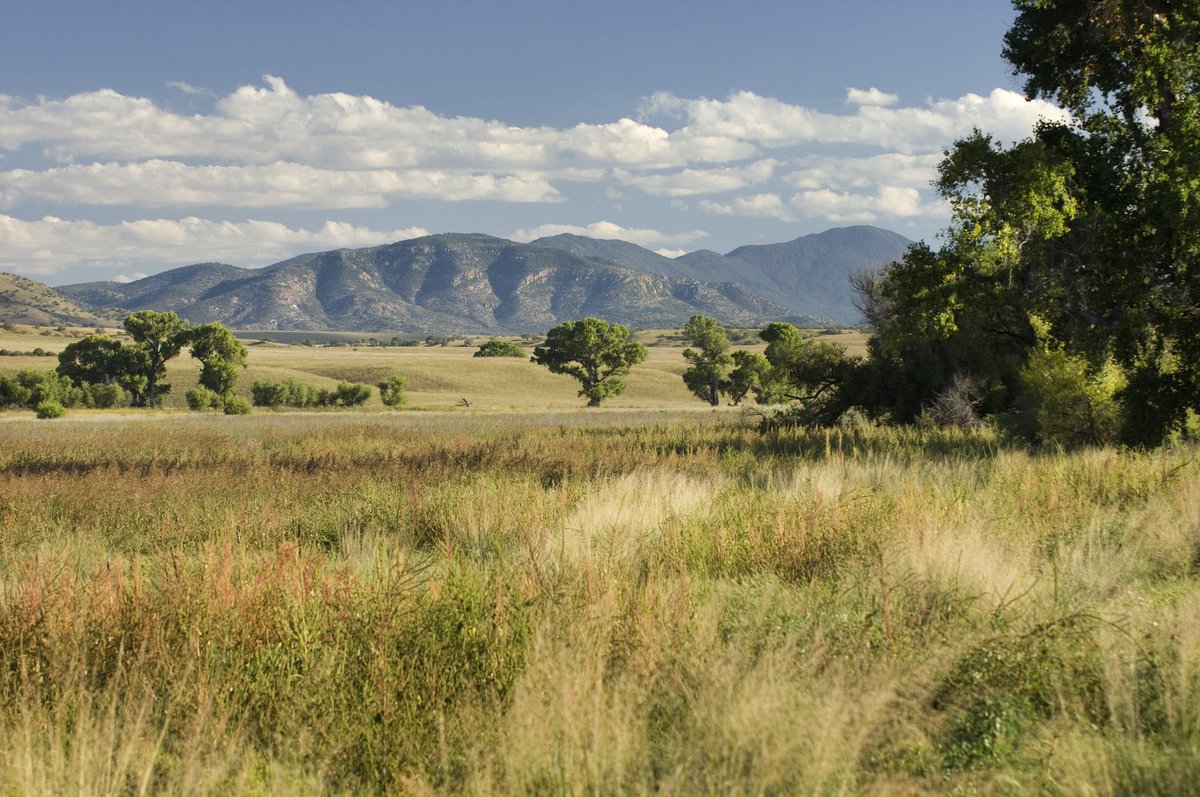 This week's ESY Habitat is Grasslands.

Grasslands are called such not only for their grass but also because they are too dry to grow a forest but get too much rain to be a desert!