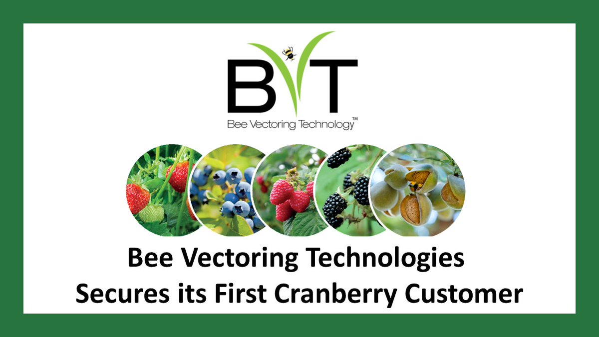 @BeeVTech (CSE $BEE; OTCQB $BEVVF) Secures its First Cranberry Customer
Full Announcement: bit.ly/3NRR671

#cropcontrol #sustainability