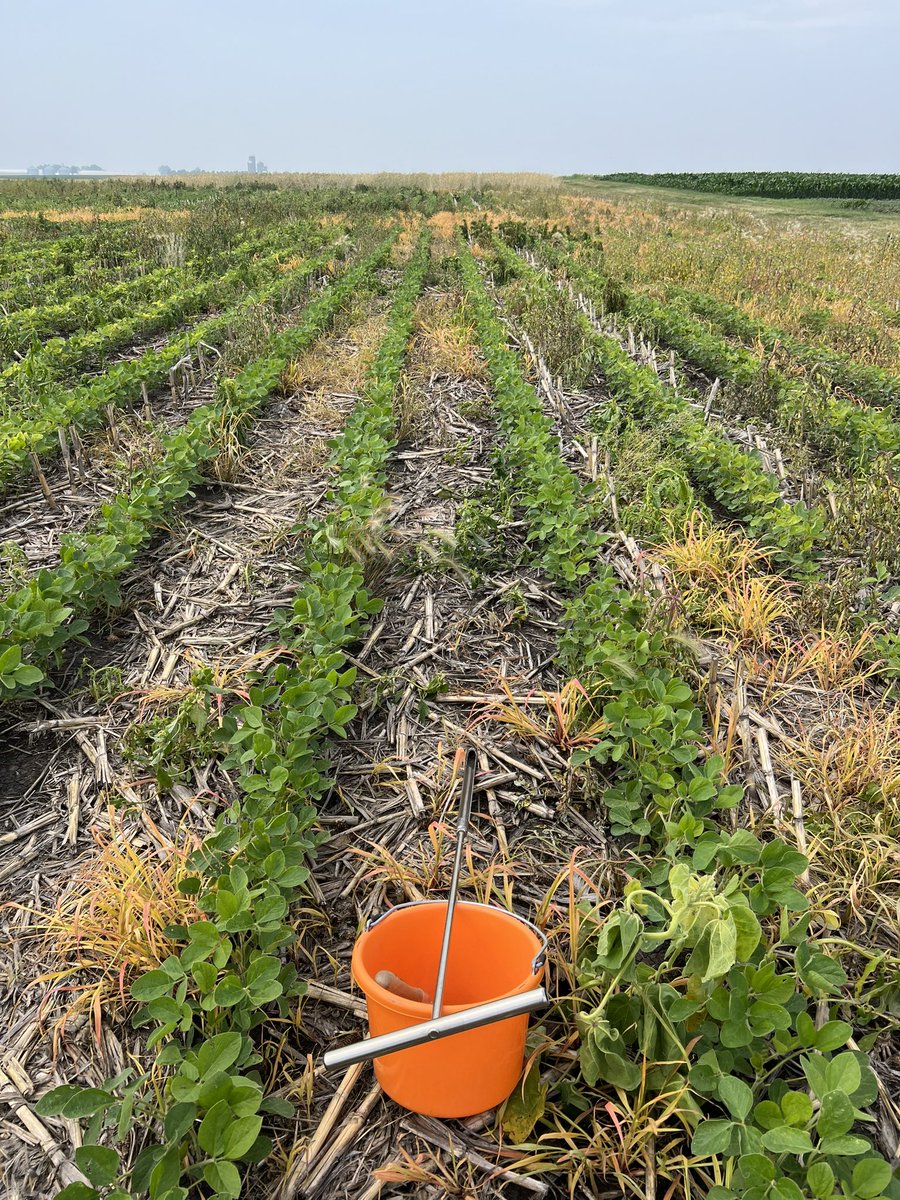 derkaisermike's tweet photo. Soil sampling day https://t.co/1E30m4sPIH