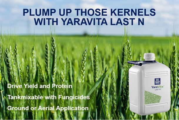 Allison Hebert tweet media