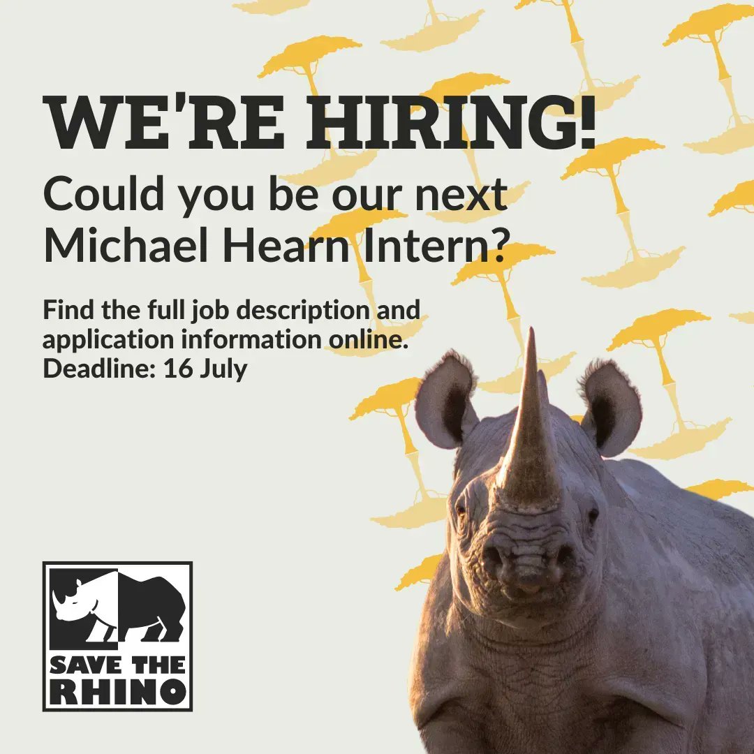 Could you be our next Michael Hearn Intern? 

Do you have a passion for rhinos? And looking to kickstart your career in conservation? Then this could be the perfect role for you! 🦏

Find out more and apply today: buff.ly/3QOERHT 

#WereHiring #ConservationJobs