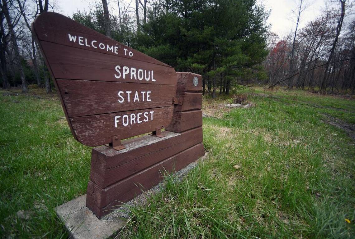 Our final ESY Habitat is the Temperate Forest.

The largest forest system in Pennsylvania is the Sproul State Forest in North Central PA!
