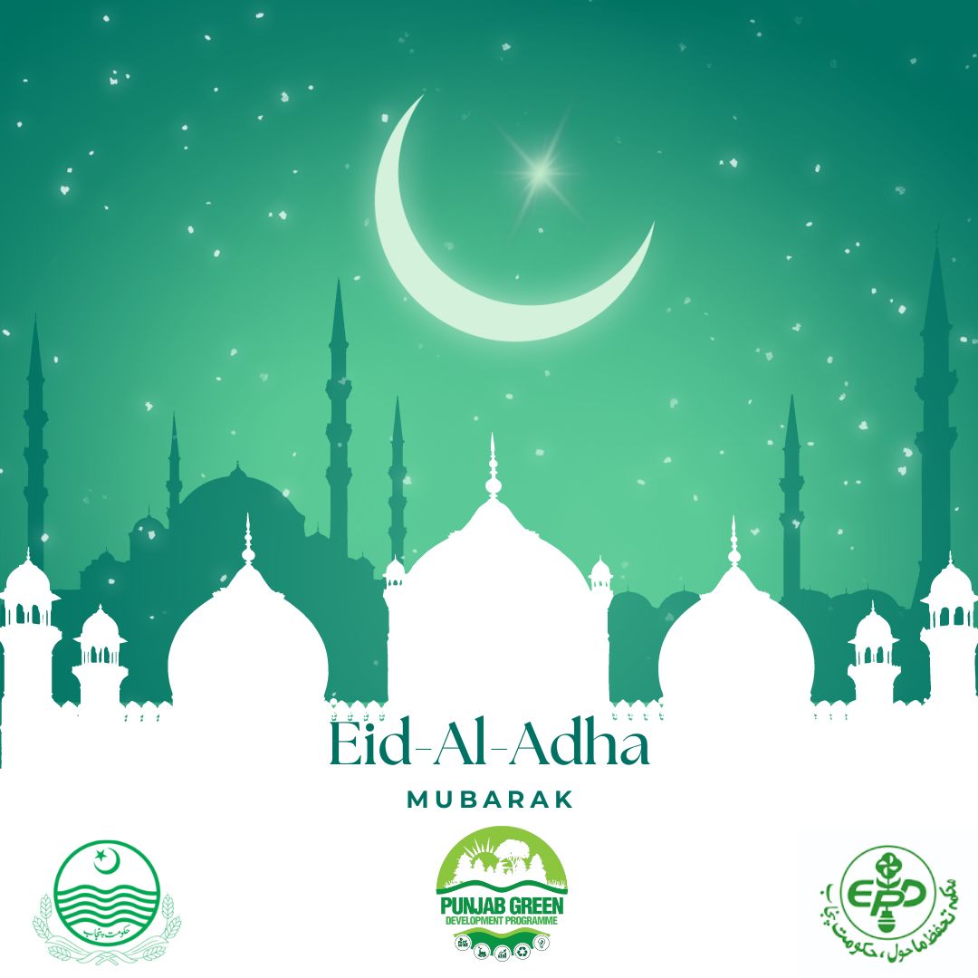 🌙🐑 Eid Mubarak! 🌱💚
This Eid, let's prioritize a better environment. From reducing food waste to eco-friendly packaging, small steps can make a big difference. Together, we can build a sustainable future. 🌿🌍

#EidMubarak #SustainableEid #BetterEnvironment