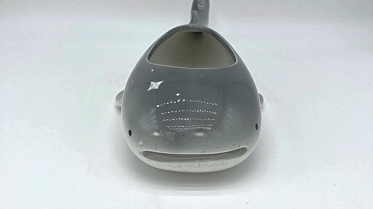 Whale shark plant pot sample!! His face 🥺