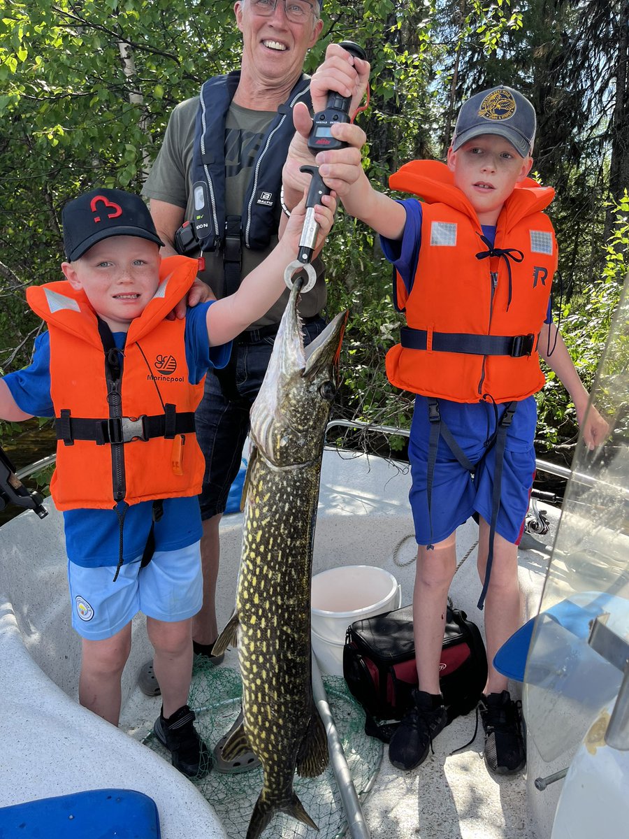 Ulf Engman tweet media