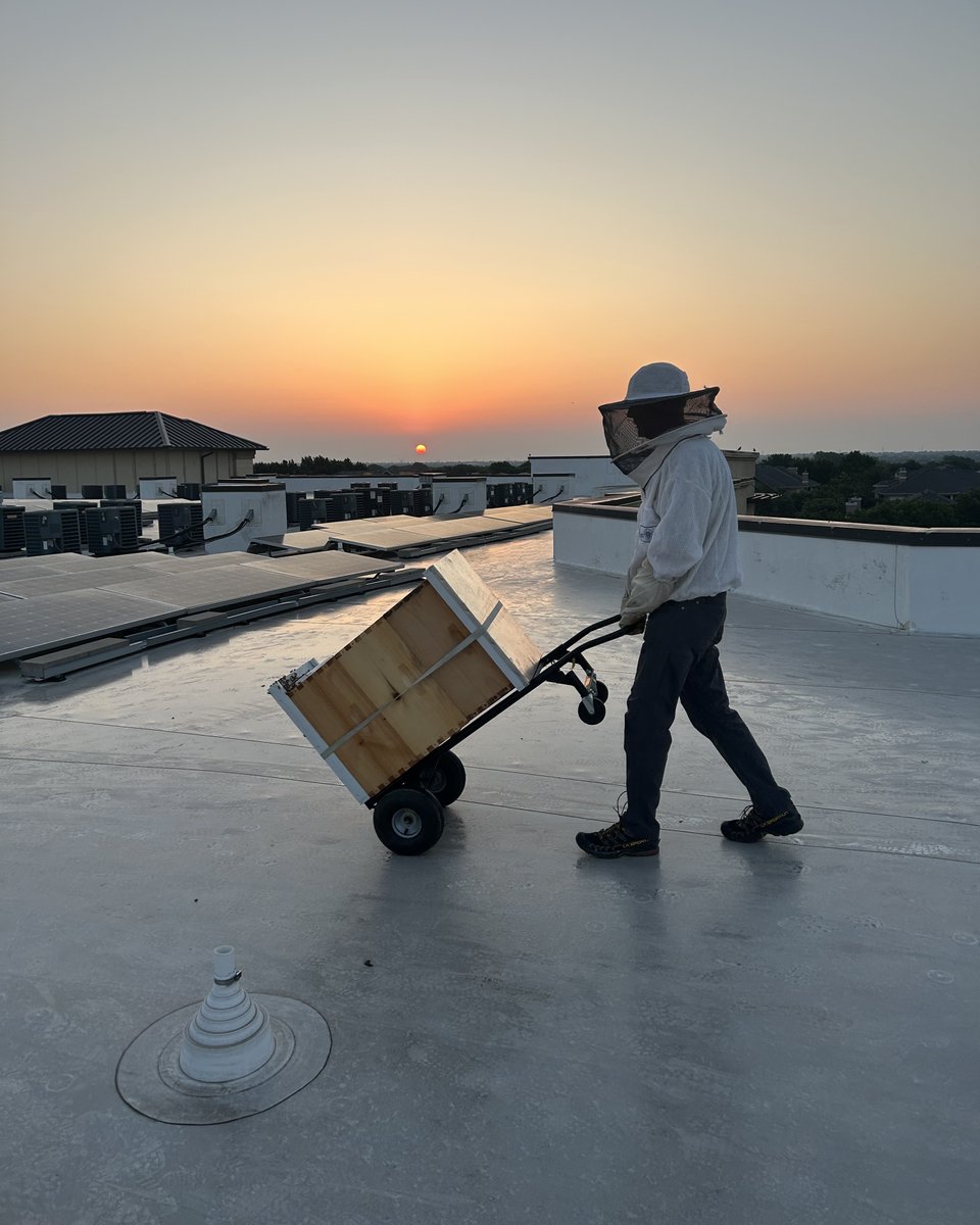 The Best Bees Company tweet media