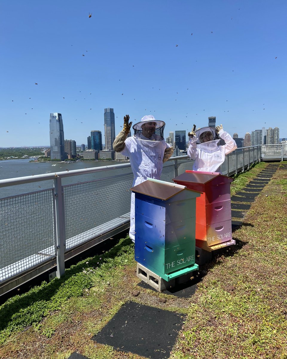 The Best Bees Company tweet media