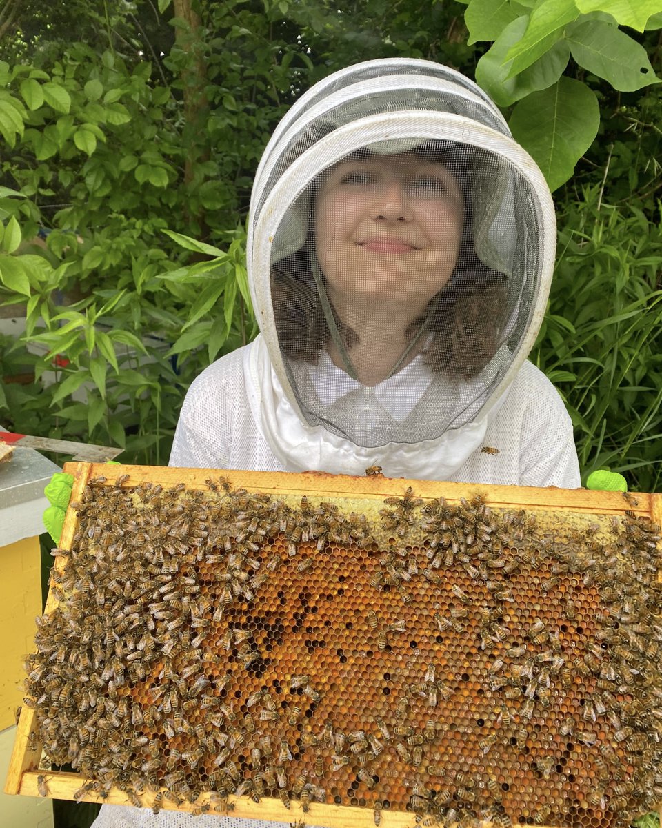 The Best Bees Company tweet media