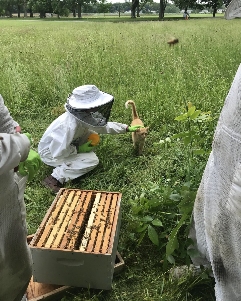 POV: you spent the week beekeeping with us. 🐝