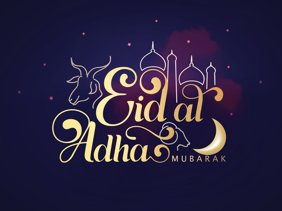 James Kitamura tweet media