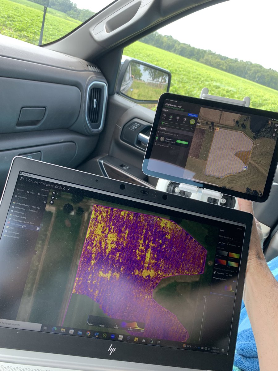 Guilherme Morata tweet media