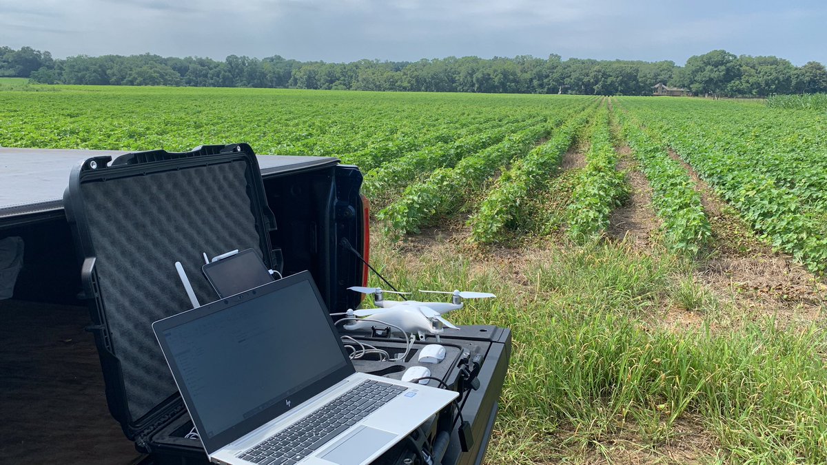 Guilherme Morata tweet media