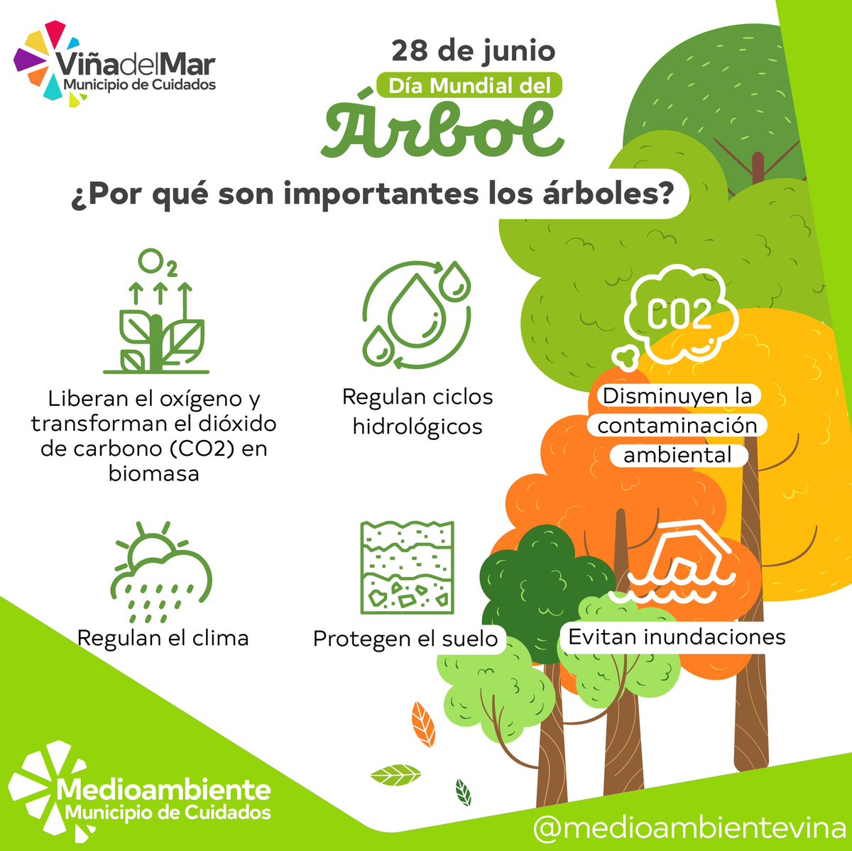 Medio Ambiente Viña tweet media