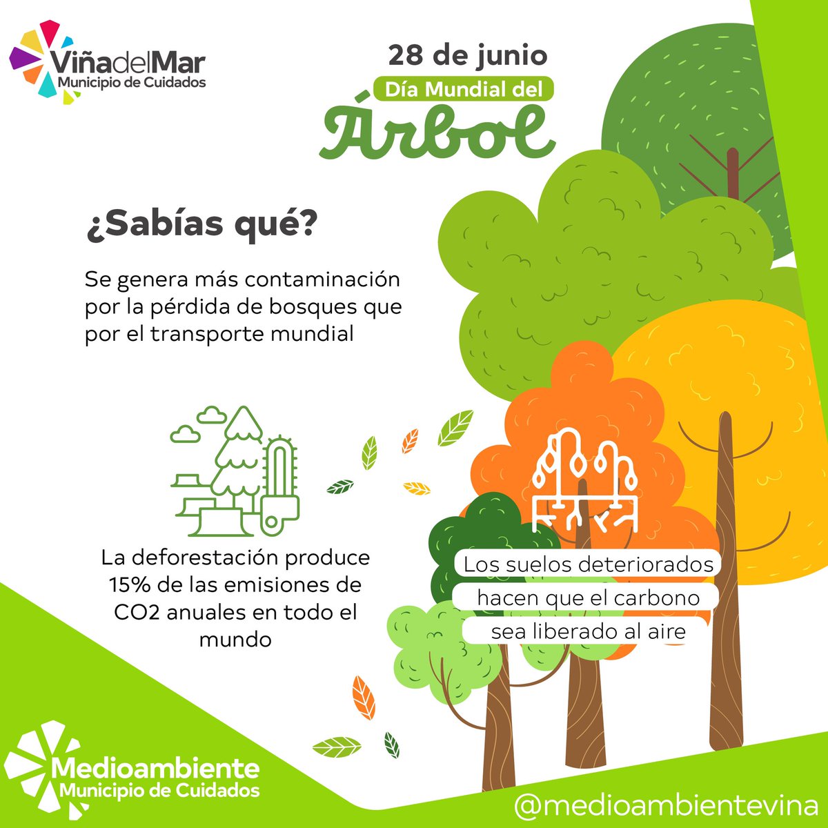 Hoy es el día mundial del árbol 🌳 sabes ¿por qué son importantes los árboles? y ¿cómo podemos contribuir a su cuidado? 👇🏼