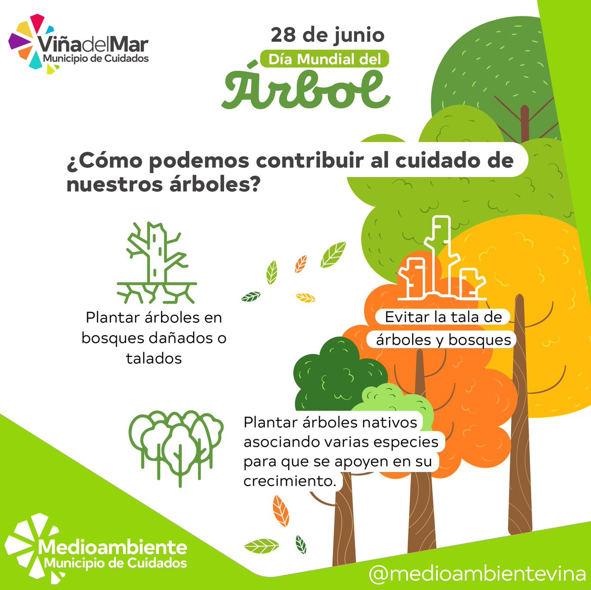 Medio Ambiente Viña tweet media