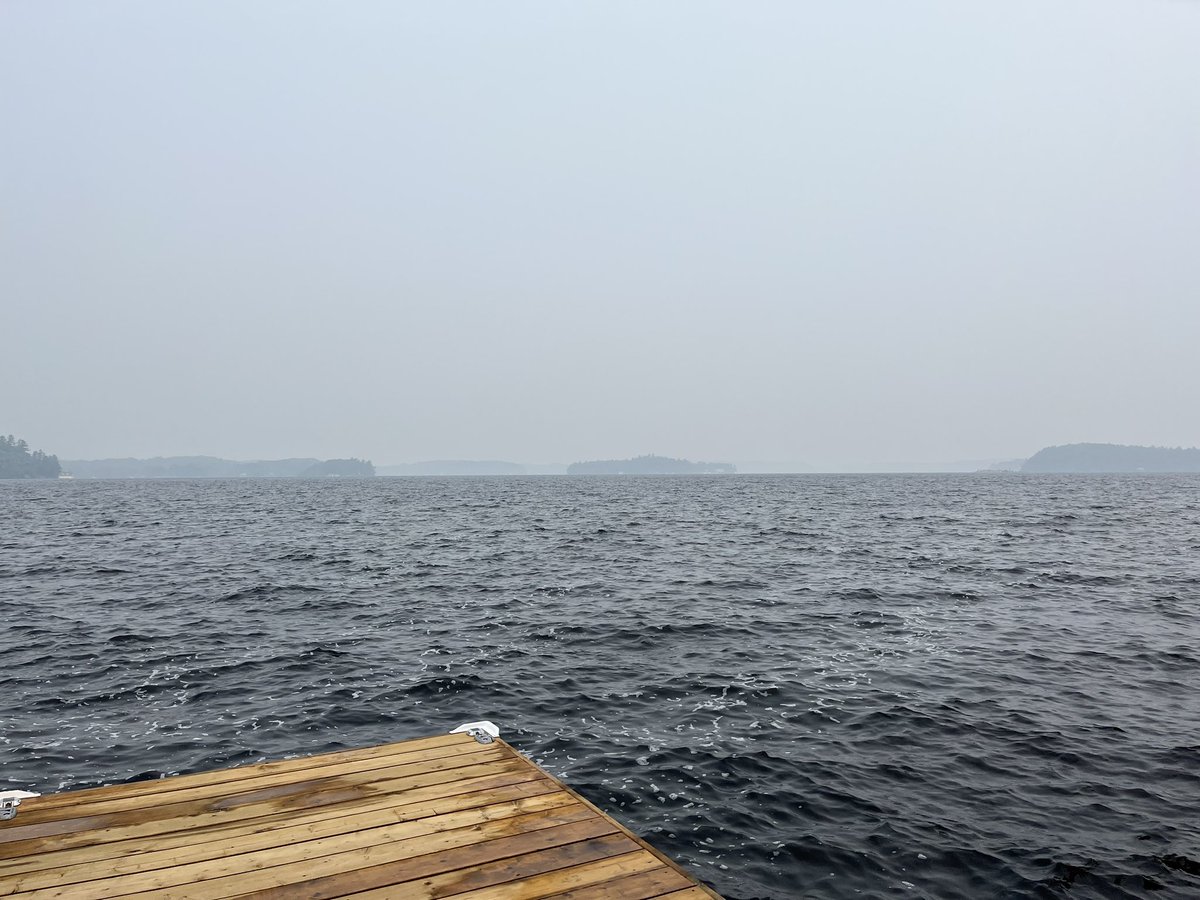 Deborah Martin-Downs tweet media