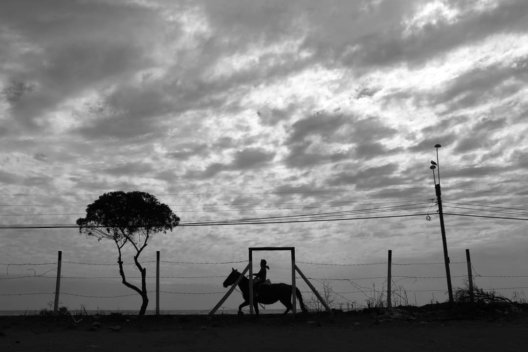 #blackandwhitephotography 
#blackandwhite 
#biancoenero 
#papudo 
#noirphotography 
#sunset
#horses