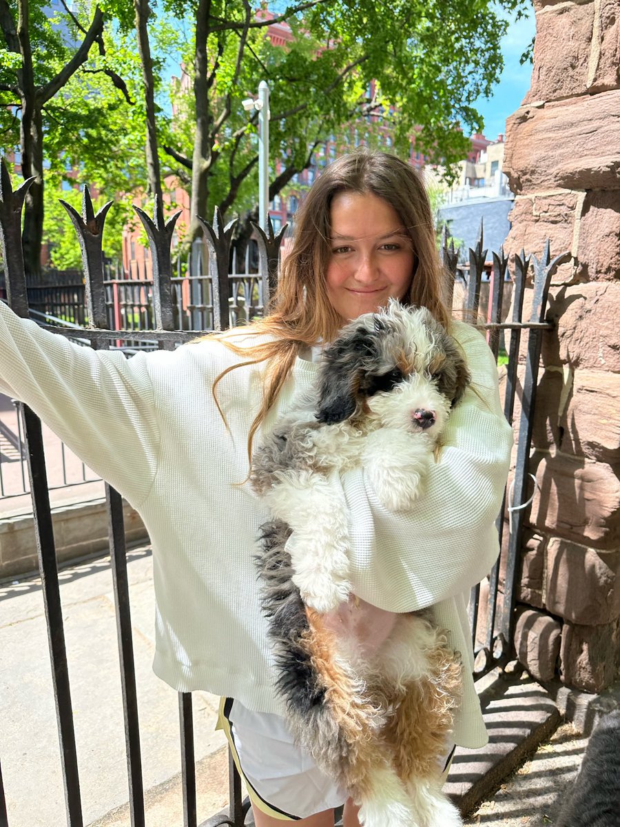 chelseacutler's tweet photo. what’d i miss https://t.co/P74UnAY3kn