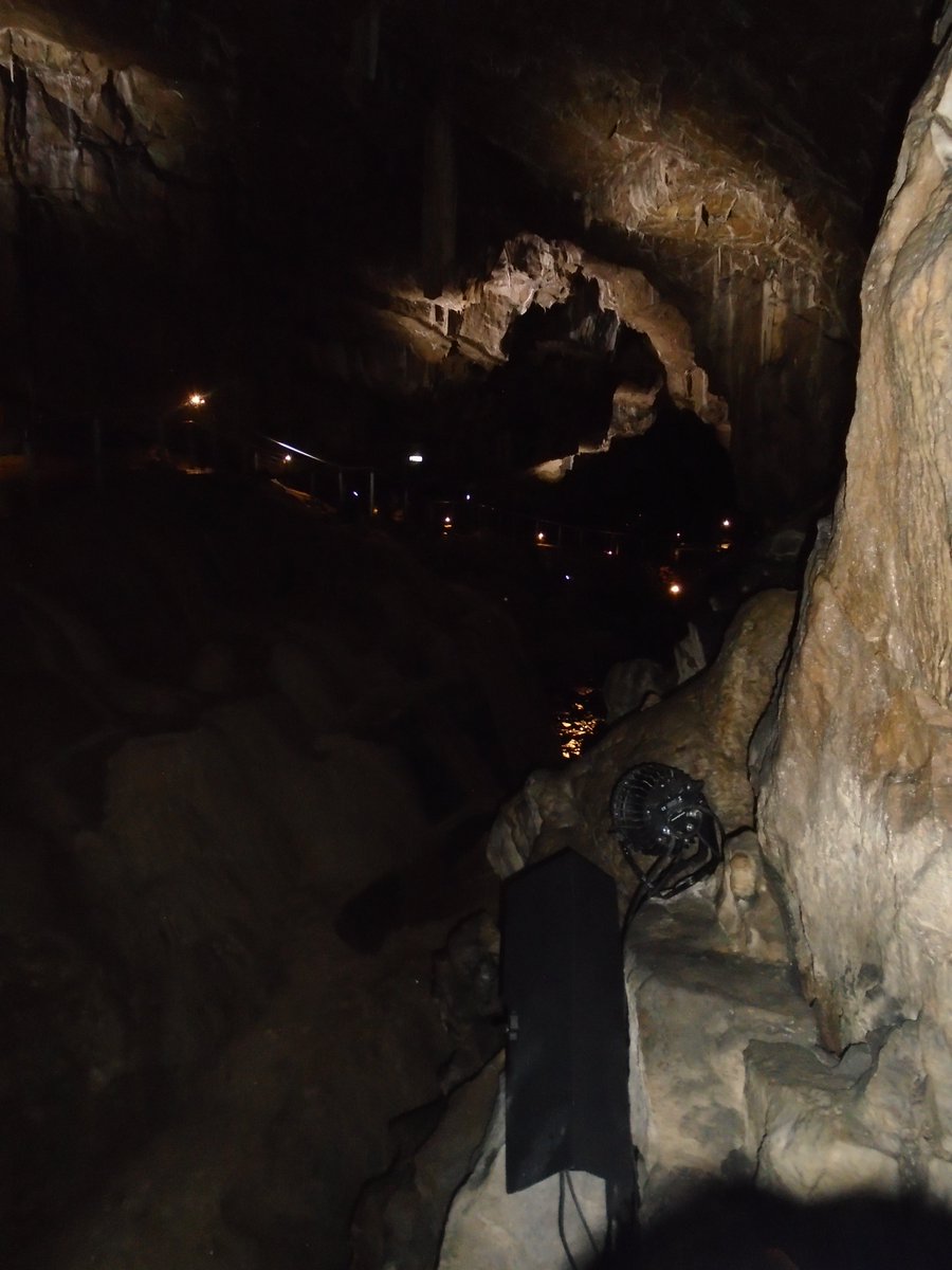 HurstheadJnrs's tweet photo. Year 3 had a wonderful time learning all about stalactites and stalagmites during our trip to Poole's Cavern today! We were also able to explore the woods around the cavern and created natural scavenger maps, all whilst spotting fossils along the way. https://t.co/LUUjbuXdOg