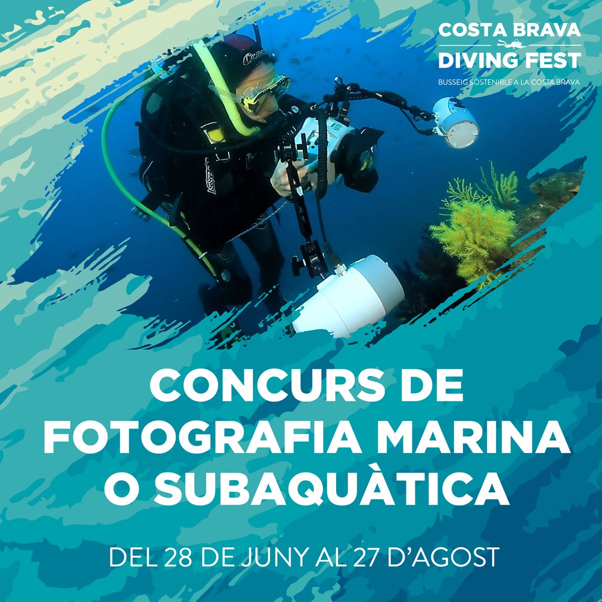 CostaBravaSub's tweet photo. 📸CONCURS DE FOTOGRAFIA SUBAQUÀTICA O MARINA del Costa Brava Diving Fest a Instagram. 3 GRANS PREMIS!💥Consulteu bases: https://t.co/N1pYwZ0u7s
#costabravasub #costabrava #busseig #immersions #galp #galpcostabrava #costabravadivingfest #costabravadivingfestfoto @GALPCostaBrava https://t.co/w1U7iA88XL