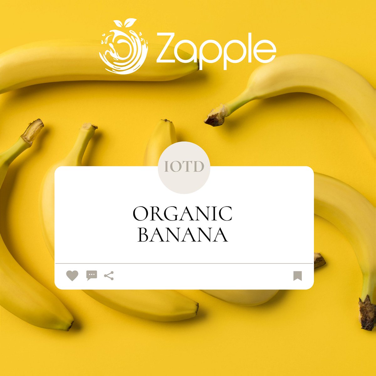 zappleglobal's tweet photo. Ingredient of the Day: Bananas contain many essential nutrients and benefit weight loss, digestion, and heart health.

#Zapple #ZappleOrganics #ZappleADay #ZappleGlobal #OrganicFruits #IOTD #Banana https://t.co/Lq2qbZA8ed